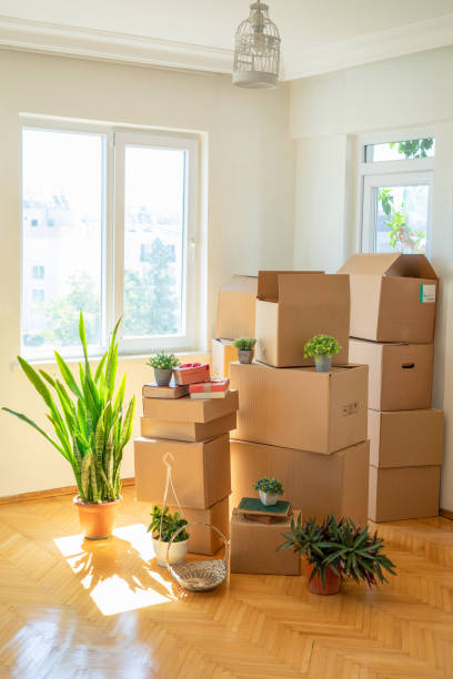 Transporte in Brandenburg – Boss Transporte